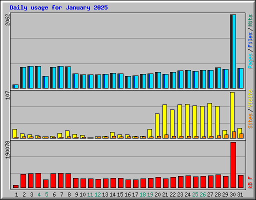 Daily usage for January 2025