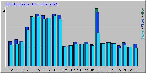 Hourly usage for June 2024