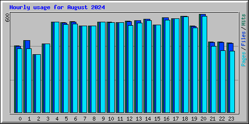 Hourly usage for August 2024
