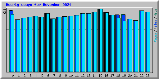 Hourly usage for November 2024