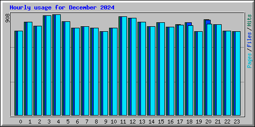 Hourly usage for December 2024