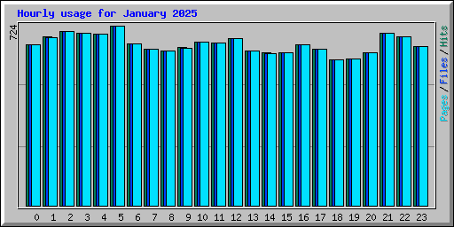 Hourly usage for January 2025