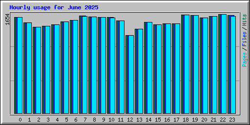 Hourly usage for June 2025