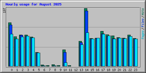 Hourly usage for August 2025